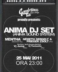 Anima DJ Set @ Gambrinus Pub