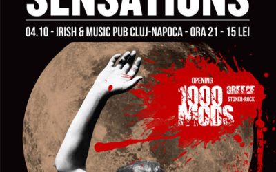The Shaking Sensations @ Irish & Music Pub
