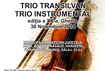 Trio Transilvan – Trio Instrumental