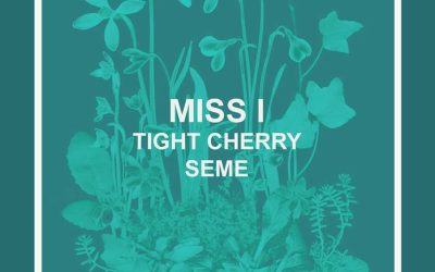 Miss I / Tight Cherry / Seme @ La Gazette