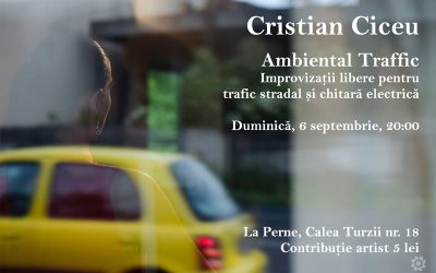 Cristian Ciceu | Ambiental Traffic @ La Perne