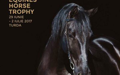 Salina Equines Horse Trophy @ Salina Equines