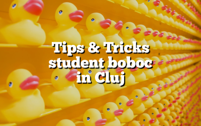 Tips & tricks ca să te acomodezi cât mai repede ca student boboc în Cluj