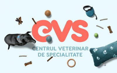 6 motive să apelezi la Centrul Veterinar de Specialitate (CVS) pentru animalul tău de companie