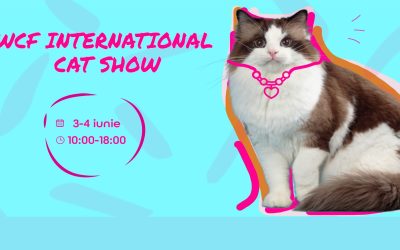 WCF International Cat Show, Iulius Mall Cluj-Napoca